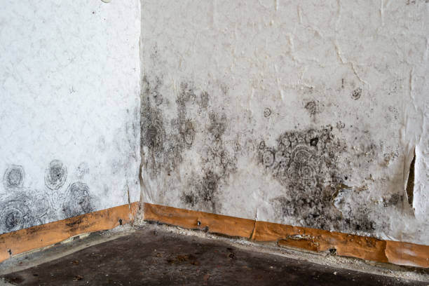 Carpet water damage restoration in East End, AR